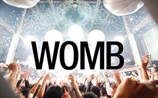 womb1